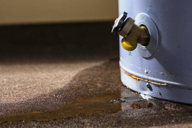 Best Water damage contractors near me  in Terre Haute, IN