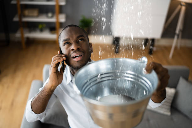 Best Water damage cleanup near me  in Terre Haute, IN